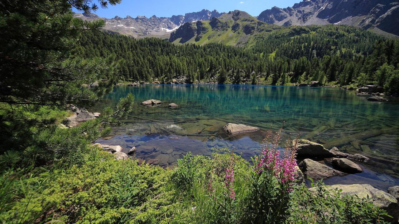 Historic Albrici 3*